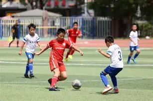 杨瀚森关键,发挥,携手杜兰特,巅峰国际,巅峰国际官方网站,巅峰国际平台