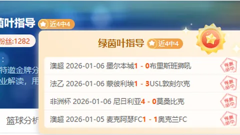 巅峰国际 产品 085040 sh6