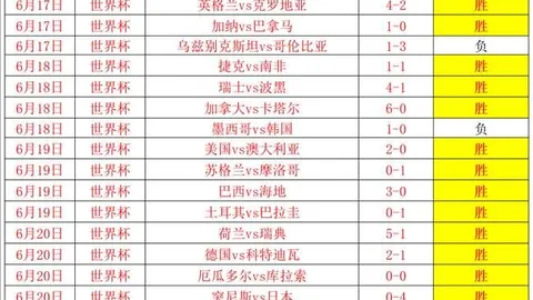 巅峰国际 063310 5