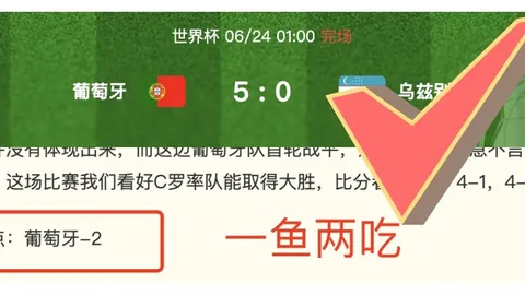 巅峰国际 071520 29